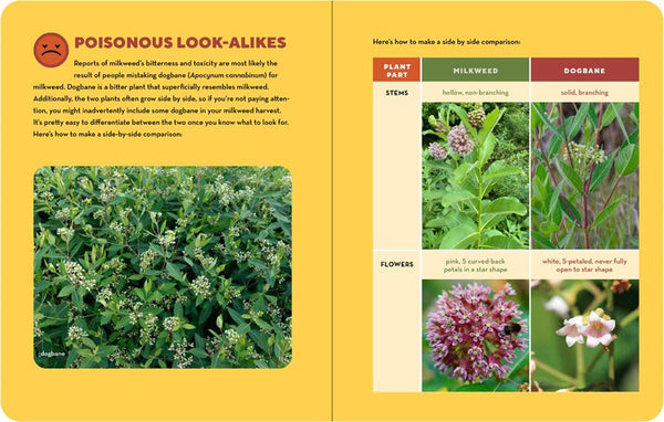 Wild Kitchen Foraging How to Forage for Wild Foods without Dying | Kitchen Arts & Letters