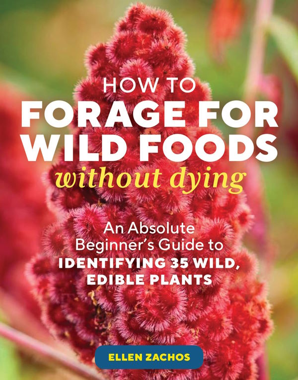 Book Cover: How to Forage for Wild Foods without Dying