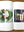 presentation image