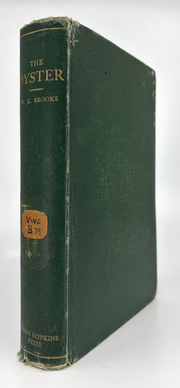 Book cover: The Oyster
