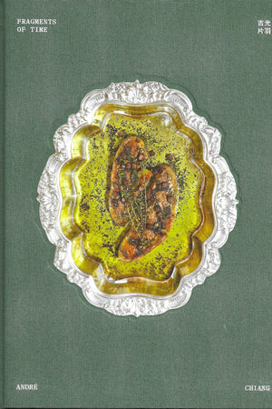 Book cover: Fragments of Time