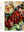 presentation image