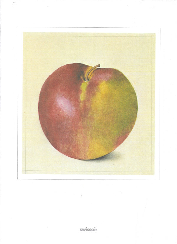 Menu cover: Apple