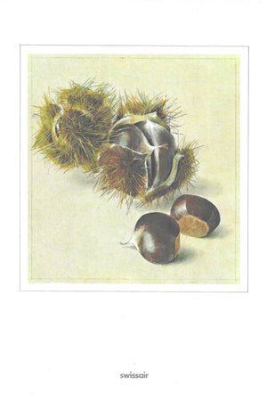 Menu cover: Chestnuts