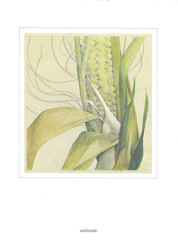 Menu cover: Corn