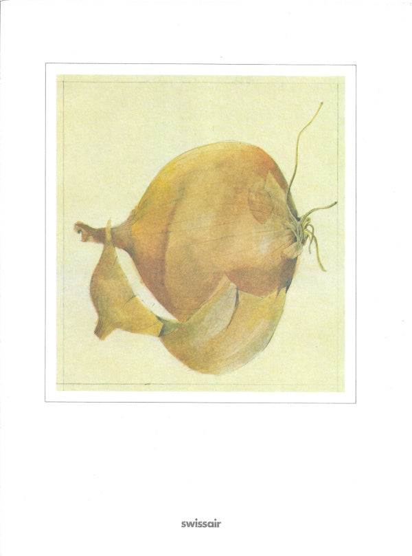 Menu cover: Onion