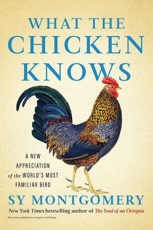 Cover Image: What the Chicken Knows