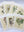 Menu covers: Swissair Botanicals