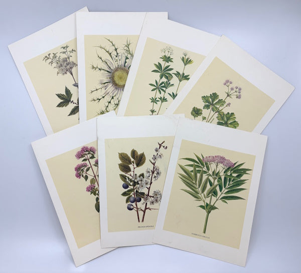Menu covers: Swissair Botanicals