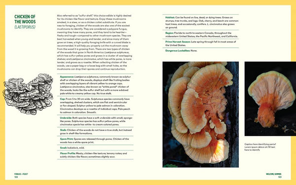 presentation image