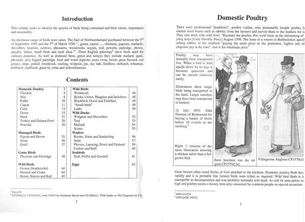 presentation image