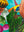 Presentation image