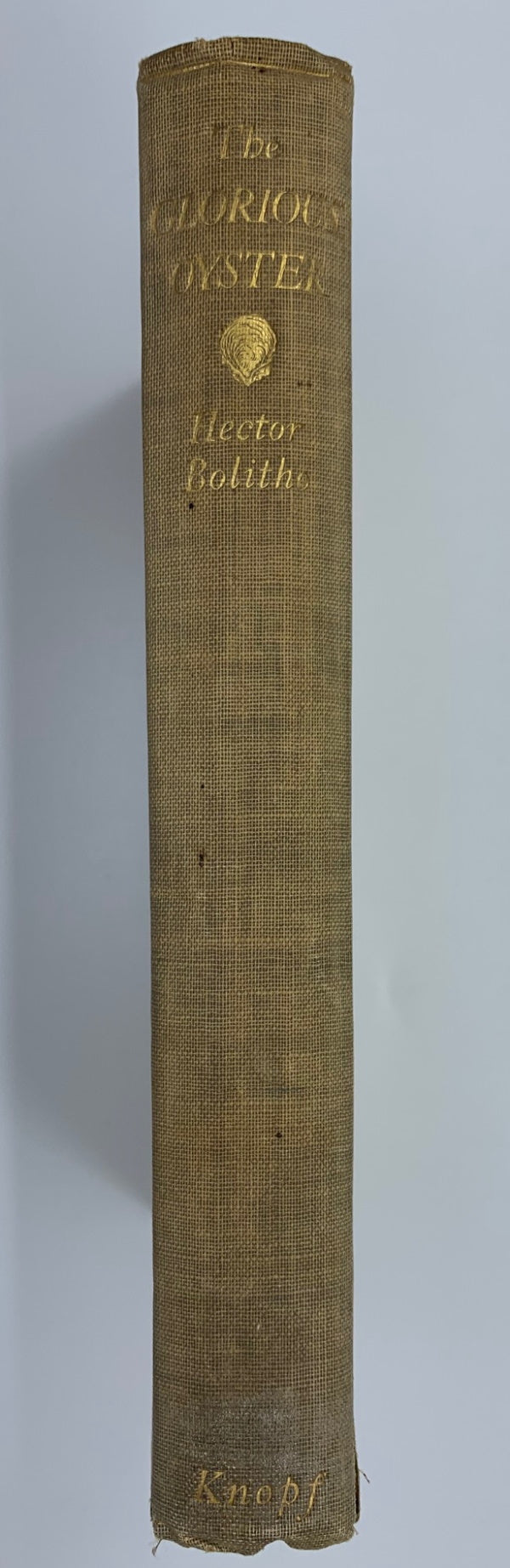 Book Cover: OP: The Glorious Oyster