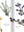 Presentation image