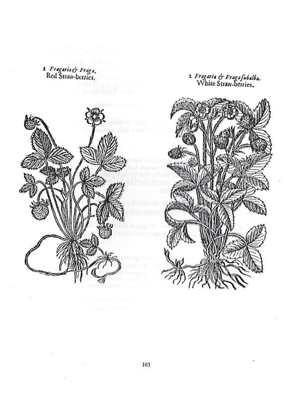 Presentation image