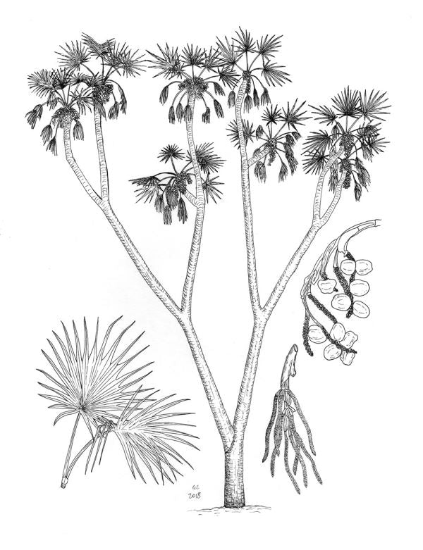 Presentation image