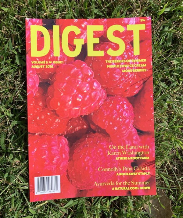 Book Cover: Digest Magazine: Volume 3, Issue 1