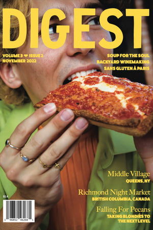 Book Cover: Digest Magazine, Volume 3 Issue 2