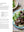 Presentation image