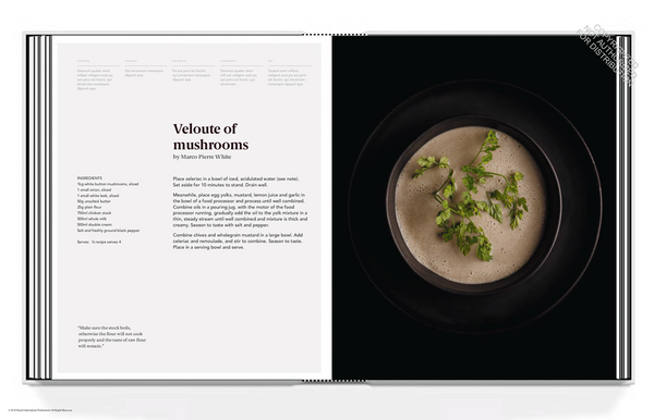 Presentation image
