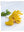 Presentation image