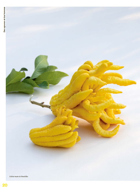 Presentation image