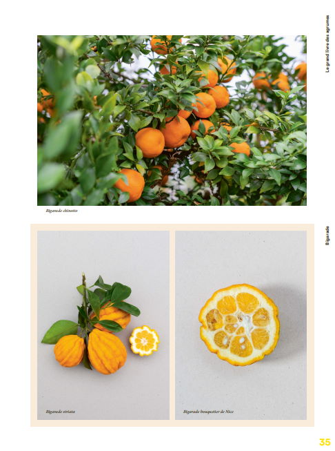 Presentation image