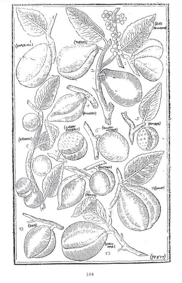 Presentation image