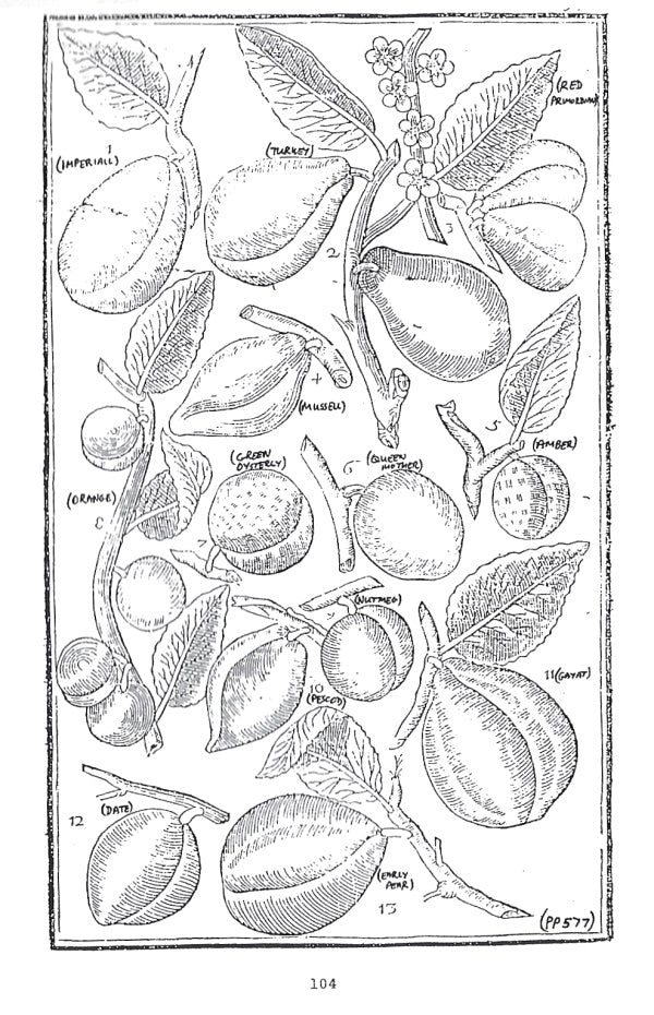 Presentation image