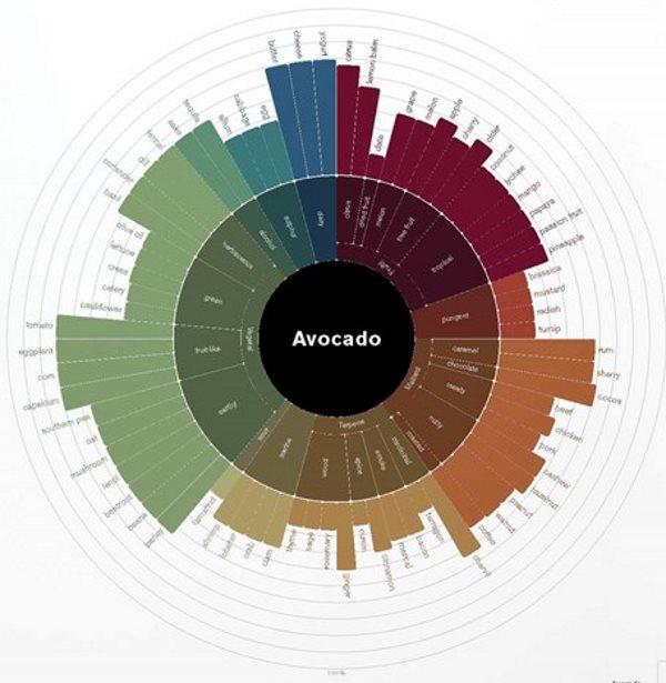Flavour Mapping Matrix The Flavor Matrix: The Art and Science of Pairing Common Ingredients t ...