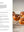 Presentation image