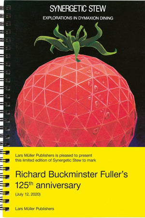 Book Cover: Synergetic Stew: Explorations in Dymaxion Dining