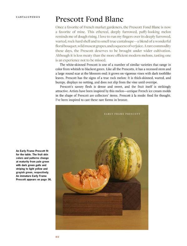 Presentation image