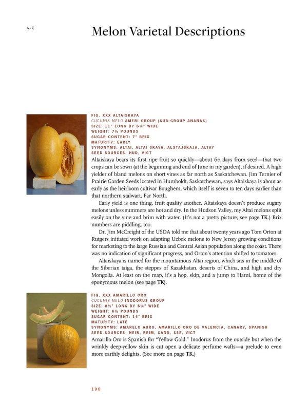 Presentation image