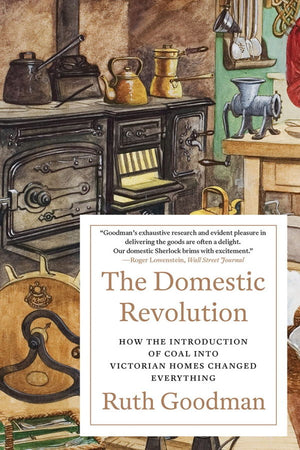 Book Cover: The Domestic Revolution : How the Introduction of Coal into Victorian Homes Changed Everything