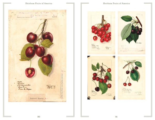 Presentation image