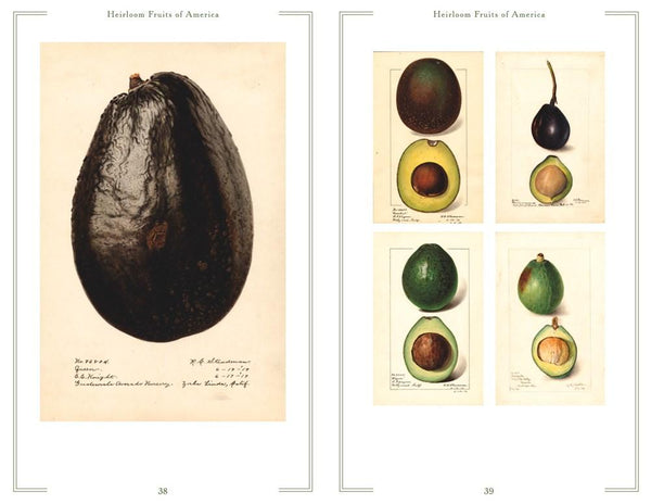 Presentation image