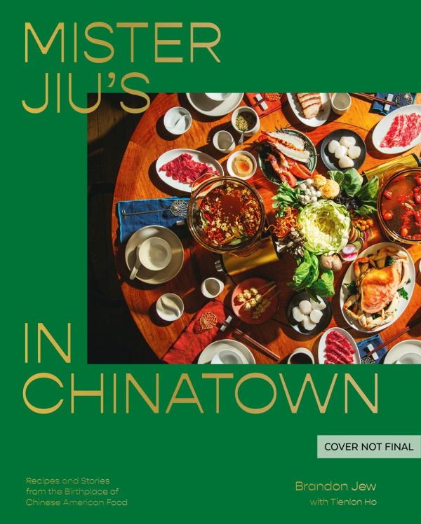 Book Cover: Mister Jiu's in Chinatown