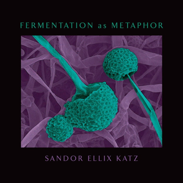Book Cover: Fermentation as Metaphor