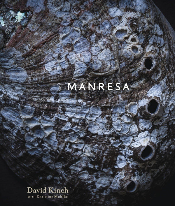 Book Cover: Manresa