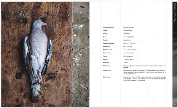 Presentation image