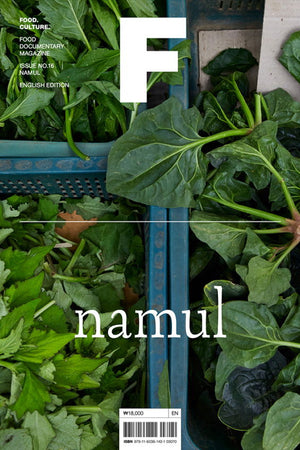 Book Cover: Magazine F: Namul Issue 16