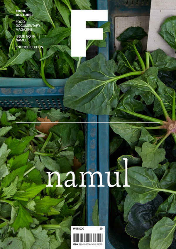 Book Cover: Magazine F: Namul Issue 16