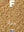 Book Cover: Magazine F: Rice Issue 5
