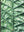 Book Cover: Catalogo Mater: 30 Especies para Central (Spanish)