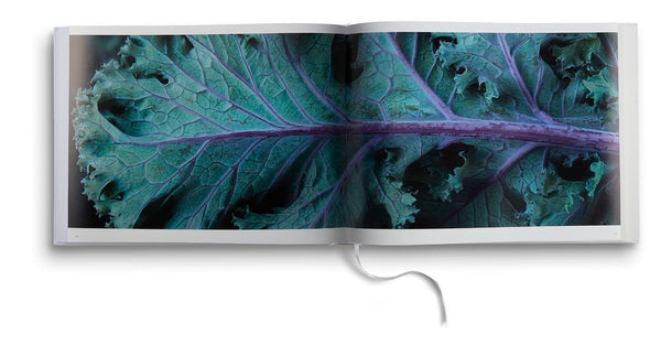 Presentation image