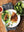 Presentation image