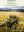 Book Cover: Freekeh: Wild Wheat and Ancient Grains