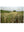 Presentation image