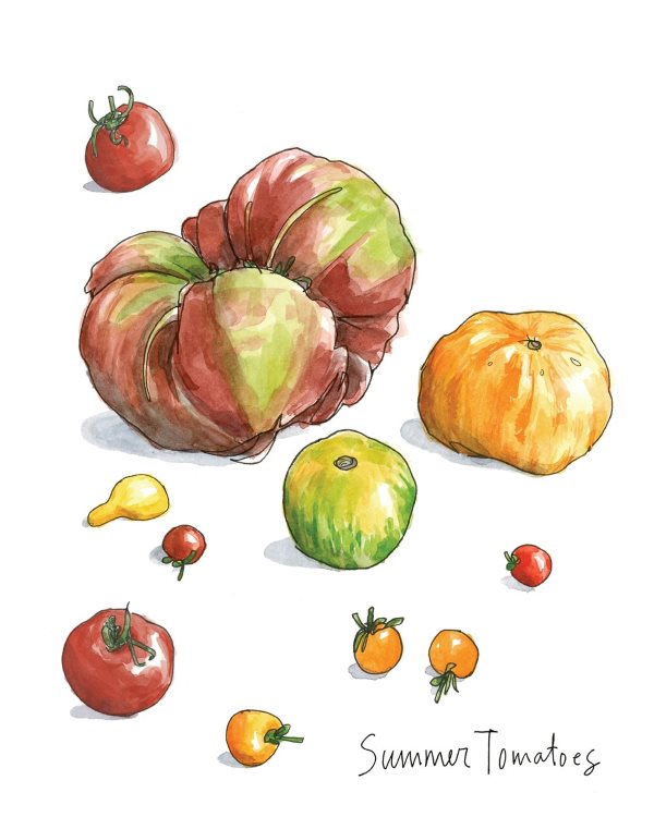 Presentation image